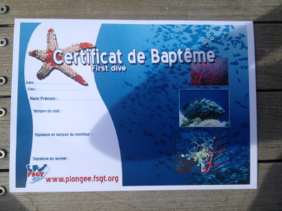 certificat de baptème